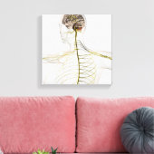 ヒト神経系の医学的イラストレーション キャンバスプリント (インサイチュ (リビング))