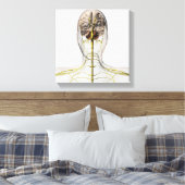 ヒト神経系の医療イラストレーション2 キャンバスプリント (インサイチュ (寝室))