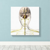 ヒト神経系の医療イラストレーション2 キャンバスプリント (インサイチュ (ウッドフロア))