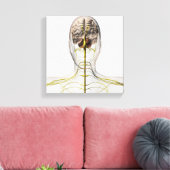 ヒト神経系の医療イラストレーション2 キャンバスプリント (インサイチュ (リビング))