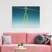 ヒト神経系の概念像1 キャンバスプリント (インサイチュ (リビング))