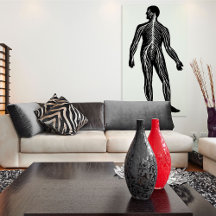 ヒト神経系解剖学イラストレーション