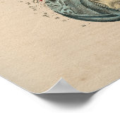 ヒト神経系解剖学1841プリント ポスター (角)