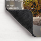 ヒト細胞のmousepad マウスパッド (コーナー)