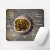 ヒト細胞のmousepad マウスパッド (マウス)