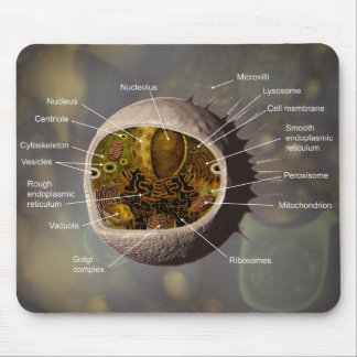 ヒト細胞のmousepad マウスパッド