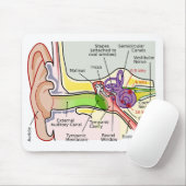 ヒト耳蝸牛周波数マッピング図 マウスパッド (マウス)
