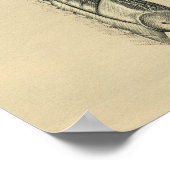 ヒト背筋解剖学1902ヴィンテージプリント ポスター (角)