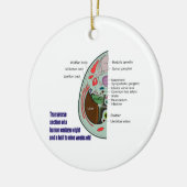 ヒト胚の横断面9週目 セラミックオーナメント (左)