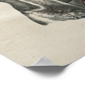 ヒト胸郭解剖学ヴィンテージプリント ポスター (角)