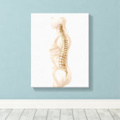ヒト脊柱の構造、横離れ部 キャンバスプリント (インサイチュ (ウッドフロア))