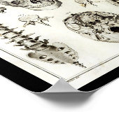 ヒト脊椎スカル解剖学プリント ポスター (角)