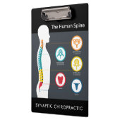 ヒト脊椎解剖図カイロプラクティック クリップボード (左)
