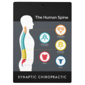 ヒト脊椎解剖図カイロプラクティック クリップボード (裏面)