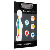 ヒト脊椎解剖図カイロプラクティック クリップボード (右)