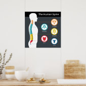 ヒト脊椎解剖図 ポスター (キッチン)