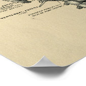 ヒト脊椎解剖学1902ヴィンテージプリント ポスター (角)