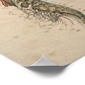 ヒト脊髄神経解剖学1841プリント ポスター (角)