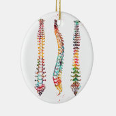 ヒト脊髄 セラミックオーナメント (右)