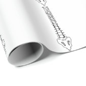 ヒト脊髄 ラッピングペーパー (ロールコーナー)