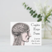 ヒト脳イラストレーションコギトエルゴサム ポストカード (スタンド正面)