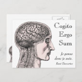 ヒト脳イラストレーションコギトエルゴサム ポストカード (正面/裏面)