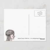 ヒト脳イラストレーションコギトエルゴサム ポストカード (裏面)