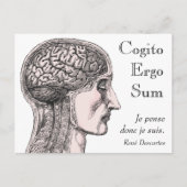 ヒト脳イラストレーションコギトエルゴサム ポストカード (正面)
