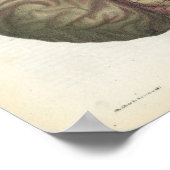 ヒト脳ヴィンテージ解剖学プリント ポスター (角)