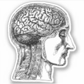 ヒト脳医療イラストレーションシール シール (正面)