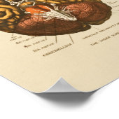 ヒト脳神経解剖学プリント ポスター (角)