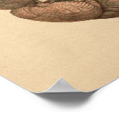 ヒト脳解剖学ヴィンテージプリント ポスター (角)