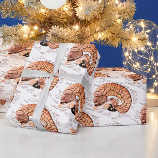 ヒト脳解剖学的診断図ノベルティ ラッピングペーパー