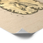 ヒト脳解剖学1841プリント ポスター (角)