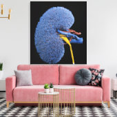 ヒト腎循環 キャンバスプリント (インサイチュ (リビング))