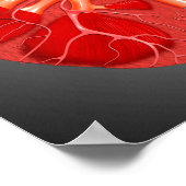 ヒト腎臓の断面積 ポスター (角)