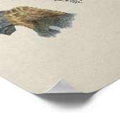 ヒト腎臓解剖学ヴィンテージプリント ポスター (角)