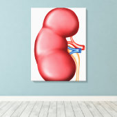 ヒト腎臓解剖学 キャンバスプリント (インサイチュ (ウッドフロア))