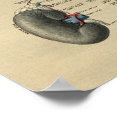 ヒト腎解剖学1902ヴィンテージプリント ポスター (角)