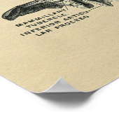 ヒト腰椎解剖学1902ヴィンテージプリント ポスター (角)