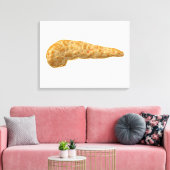 ヒト膵臓の概念像 キャンバスプリント (インサイチュ (リビング))