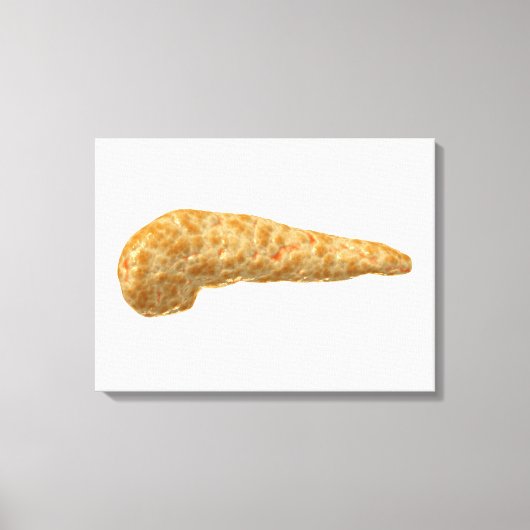 ヒト膵臓の概念像 キャンバスプリント (正面)