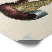 ヒト膵臓解剖学ヴィンテージプリント ポスター (角)