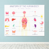 ヒト臓器系 キャンバスプリント (インサイチュ (ウッドフロア))