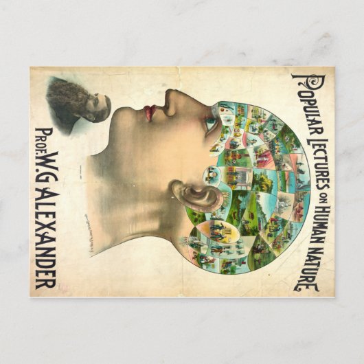 ヒト自然 ポストカード (正面)