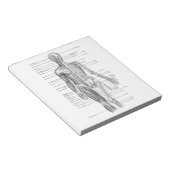 ヒト解剖図 ノートパッド (アングル)