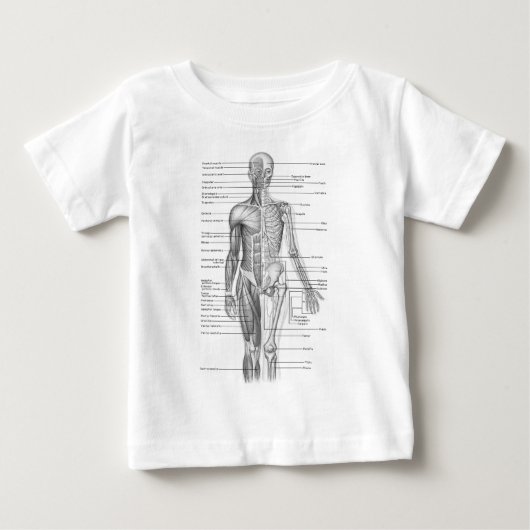 ヒト解剖図 ベビーTシャツ (正面)