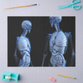 ヒト解剖学ティッシュペーパー 薄葉紙 (クラフト)