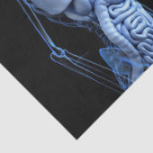 ヒト解剖学ティッシュペーパー 薄葉紙 (詳細)