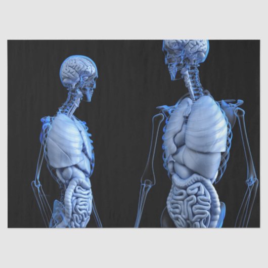 ヒト解剖学ティッシュペーパー 薄葉紙 (正面)